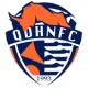 Logo Qingdao Hainiu FC